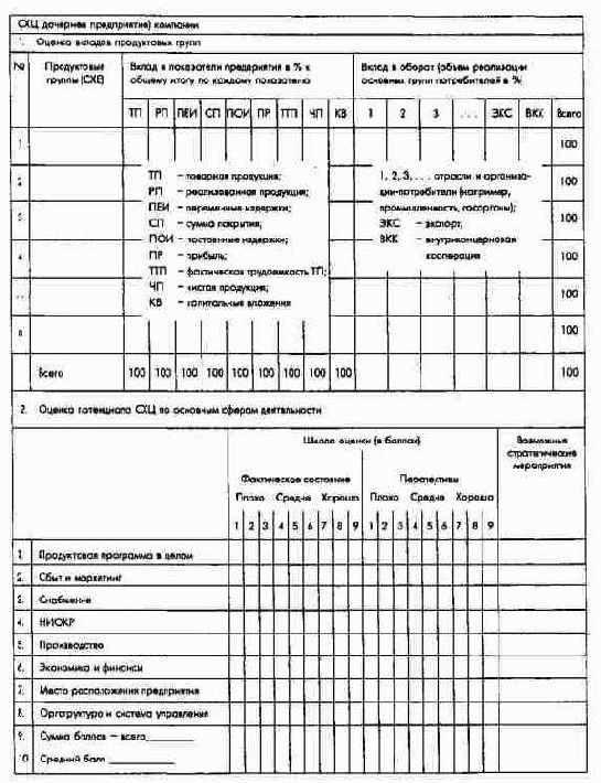 Форма оценки вкладов и потенциала подразделения (СХЦ, ДАО) концерна