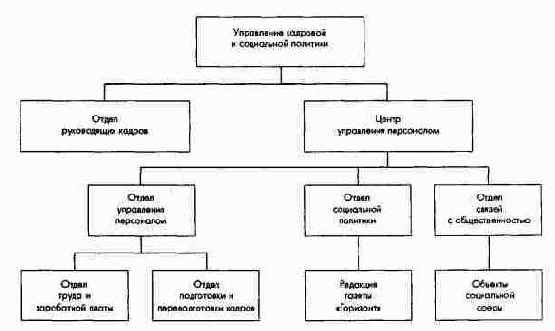 Структура кадровой и социальной политики