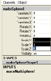   Scale 
